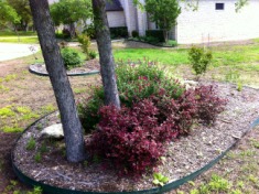 2012-03-30-6607 Conifer Cove-44.jpg